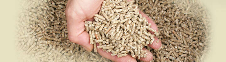 ergaenzungsfuttermittel kategorieeinstiegsbanner